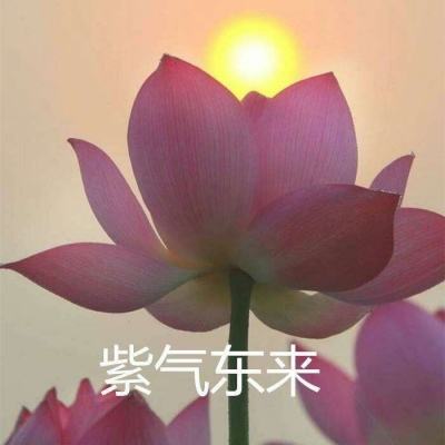 小小客栈红包版下载