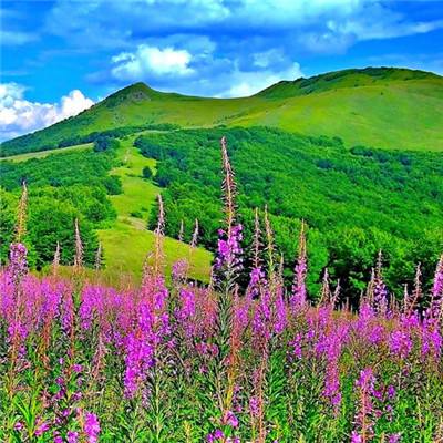 山海观天红包版手游